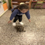 Visita inesperada da tartaruga SULI
