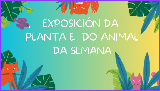 exposicion planta e animal da semana.png