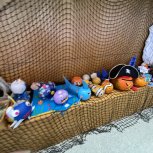 IMG_9295.JPEG