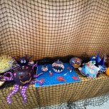 IMG_9299.JPEG