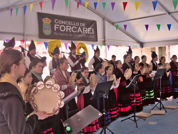 A forza das tradicións